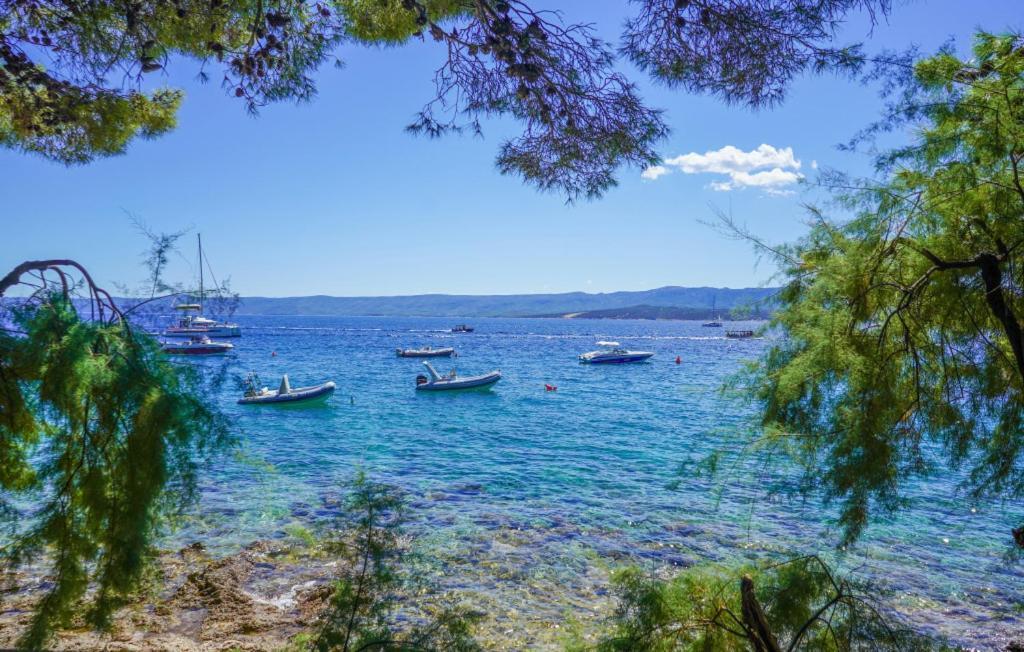 Villa Zovko In By Guide Makarska